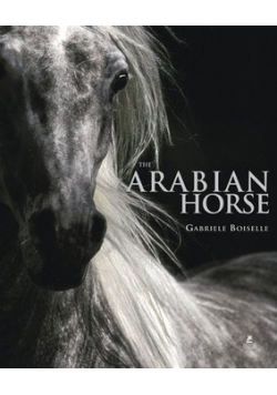 The arabian horse