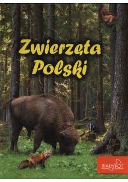 Zwierzęta Polski
