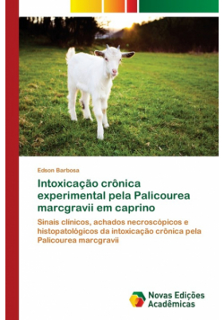Intoxicação crônica experimental pela Palicourea marcgravii em caprino