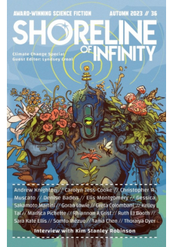 Shoreline of Infinity 36