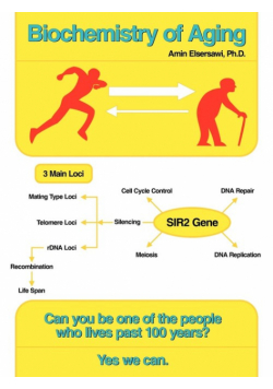 Biochemistry of Aging