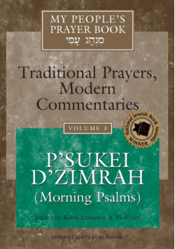 My People's Prayer Book Vol 3