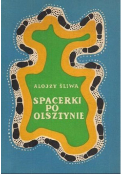 Spacerki po Olsztynie