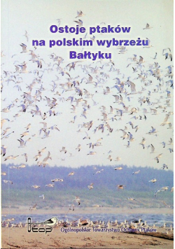 Ostoje ptaków na polskim wybrzeżu Bałtyku