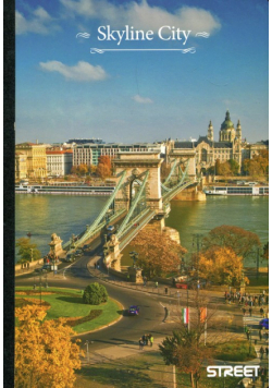 Hardcover notebook Skyline City A4 lines 6 sztuk