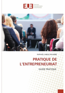 Pratique De L'entrepreneuriat