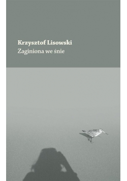 Zaginiona we śnie