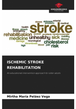 Ischemic Stroke Rehabilitation