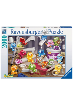 Puzzle Domowe porządki 2000