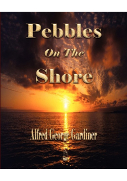 Pebbles On The Shore