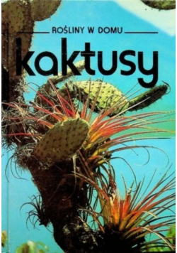 Rośliny w domu kaktusy