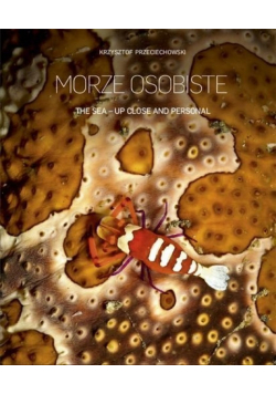Morze osobiste