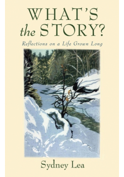 What's the Story?