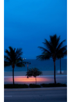Beach writing journal