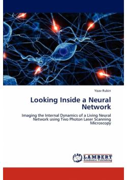 Looking Inside a Neural Network