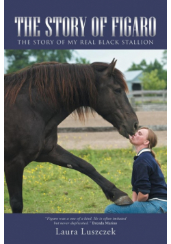 The Story of Figaro