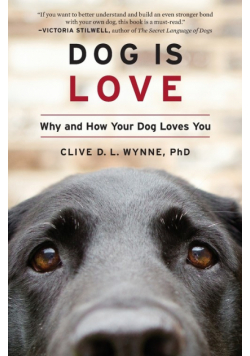 Dog Is Love