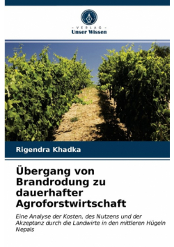 Übergang von Brandrodung zu dauerhafter Agroforstwirtschaft