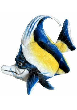 Ryba morska Skalar 35cm