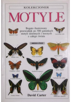 Kolekcjoner Motyle
