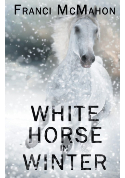 White Horse in Winter