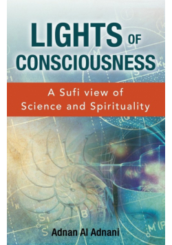 Lights of Consciousness