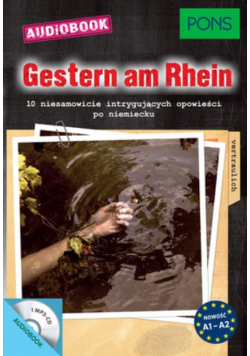 Gestern am Rhin AUDIOBOOK