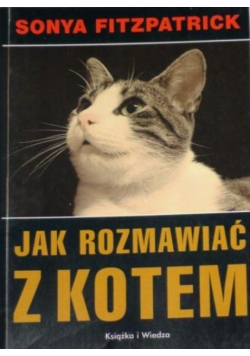 Jak rozmawiać z kotem
