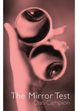 The Mirror Test