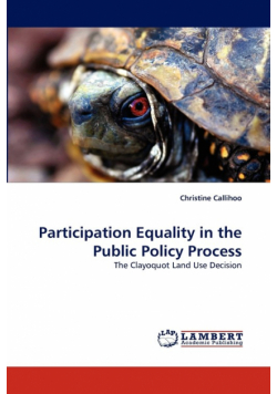 Participation Equality in the Public Policy Process
