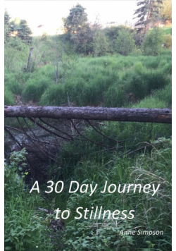 A 30 Day Journey to Stillness