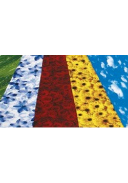 Karton dekorac 270g 23x33cm 5 arkuszy