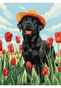 Malowanie po numerach - Uroczy labrador 30x40cm