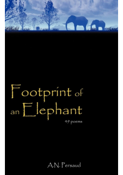 Footprint of an Elephant