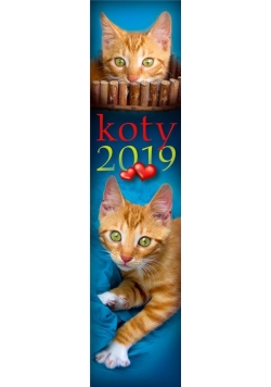 Kalendarz 2019 Paskowy - Koty PP