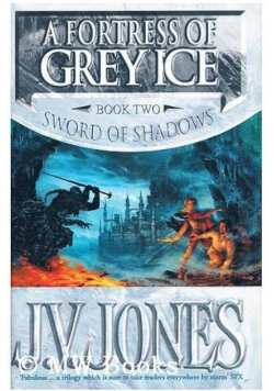 A Fortress Of Grey Ice Book 2 of the Sword of Shadows