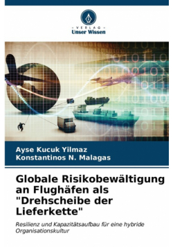 Globale Risikobewältigung an Flughäfen als "Drehscheibe der Lieferkette"