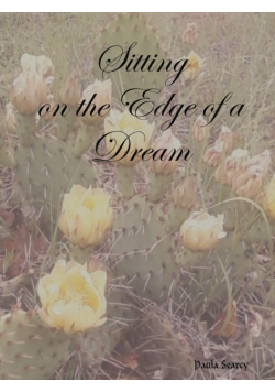 Sitting on the Edge of a Dream