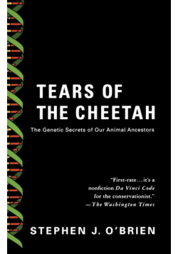 Tears of the Cheetah