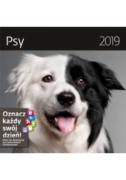 Kalendarz 2019 30x30 Psy HELMA