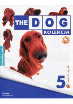 Dog Kolekcja 5 Seter Irlandzki
