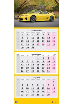 Kalendarz Trójdzielny Lux 2015 auto