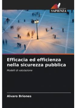 Efficacia ed efficienza nella sicurezza pubblica