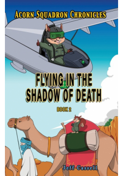 Acorn Squadron Chronicles