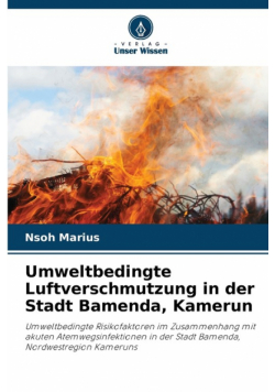 Umweltbedingte Luftverschmutzung in der Stadt Bamenda, Kamerun