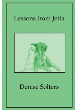 Lessons from Jetta