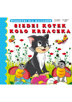 Siedzi kotek koło krzaczka