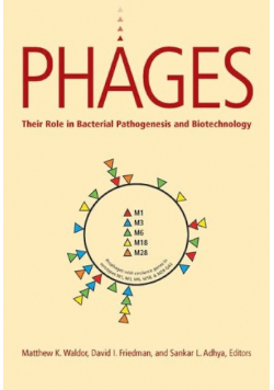 Phages Their Role in Pathogen and Biotechnology