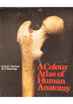 Color Atlas of Human Anatomy