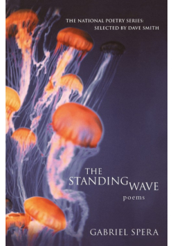 The Standing Wave